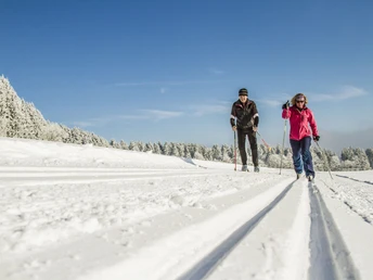 Paar in Loipe Paar in Loipe