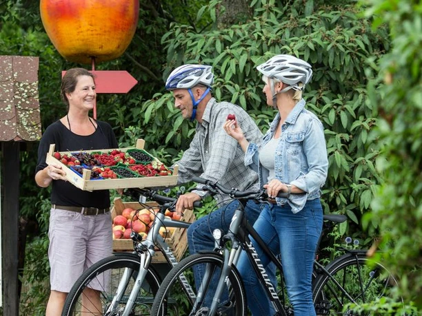 Boxenstop an einem der Obsthöfe am Elm