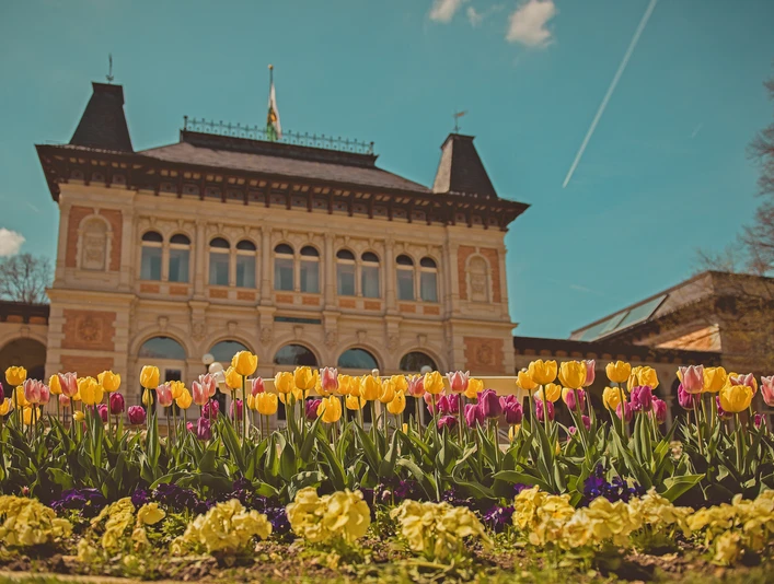 Königliches Kurhaus©Jan Bräuer.jpg Historisches Kurhaus mit blühenden gelben und lila Tulpen im Vordergrund, blauer Himmel.