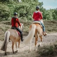 Reiten allgemein - 2020.05.30 - 17.32.17.jpg