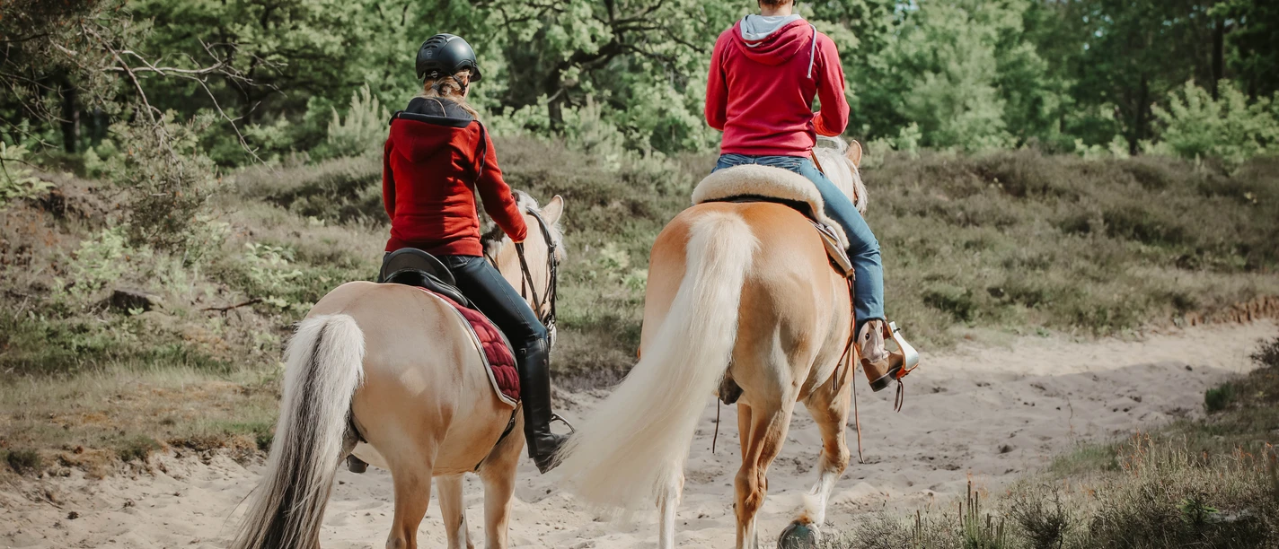 Reiten allgemein - 2020.05.30 - 17.32.17.jpg