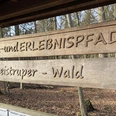 Holztafel mit Aufschrift "Lehr- und Erlebnispfad Leistruper Wald" im lichten Waldgebiet.