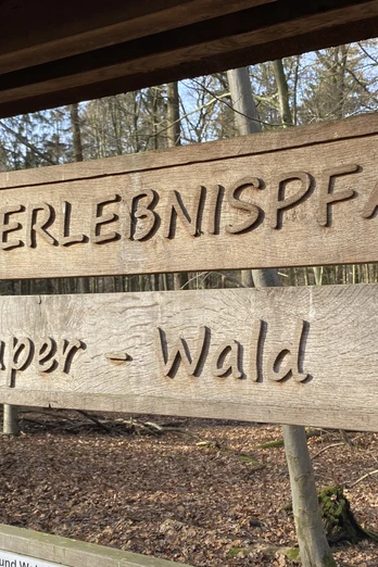 Lehr- und Erlebnispfad Leistruper Wald Holztafel mit Aufschrift "Lehr- und Erlebnispfad Leistruper Wald" im lichten Waldgebiet.