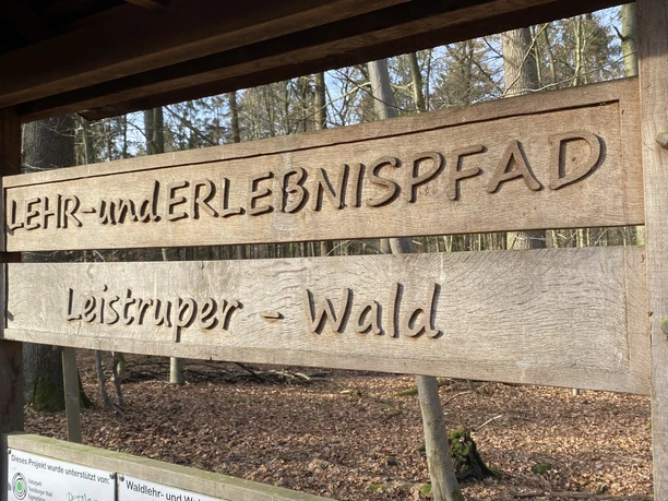Lehr- und Erlebnispfad Leistruper Wald Holztafel mit Aufschrift "Lehr- und Erlebnispfad Leistruper Wald" im lichten Waldgebiet.