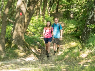 Unterwegs auf schmalen Pfaden durch verwunschen wirkende Wälder Zwei Personen spazieren auf einem schmalen Waldpfad, umgeben von dichtem Grün und Bäumen.