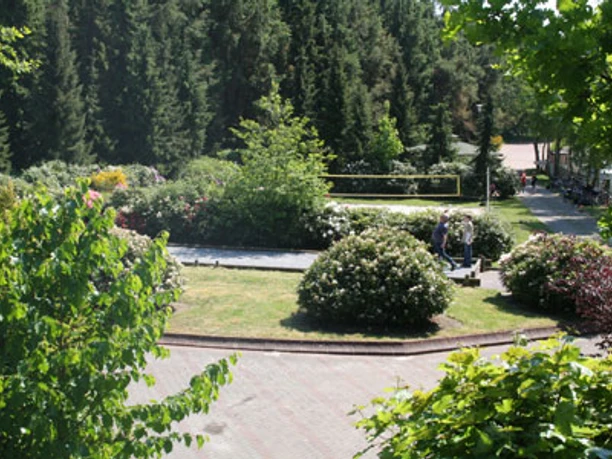 Boulebahn_Conneforde.jpg Auf dem Bild ist eine Boulebahn in einem Park zu sehen, umgeben von grünen Büschen und Bäumen.