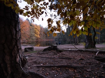 Naturschutzgebiet Donoper Teich Herbstlicher Wald mit Teichufer, bunte Blätter und zwei Menschen blickend auf das ruhige Wasser.