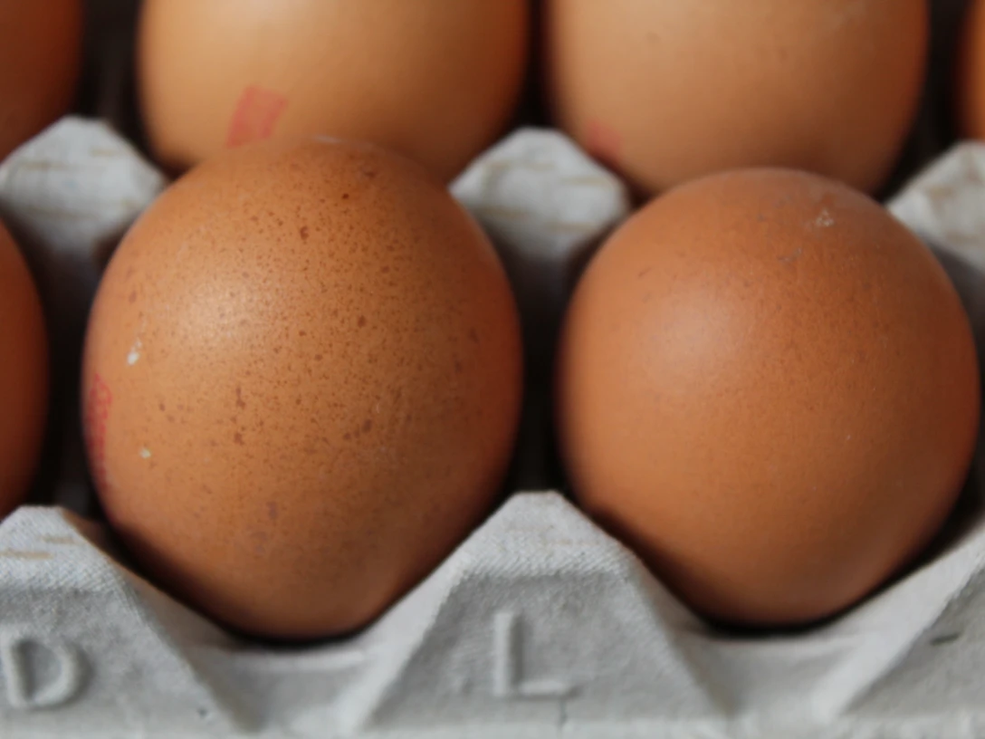 Eier Frische braune Eier liegen nebeneinander in einer gestapelten, grauen Eierpappe aufgereiht.