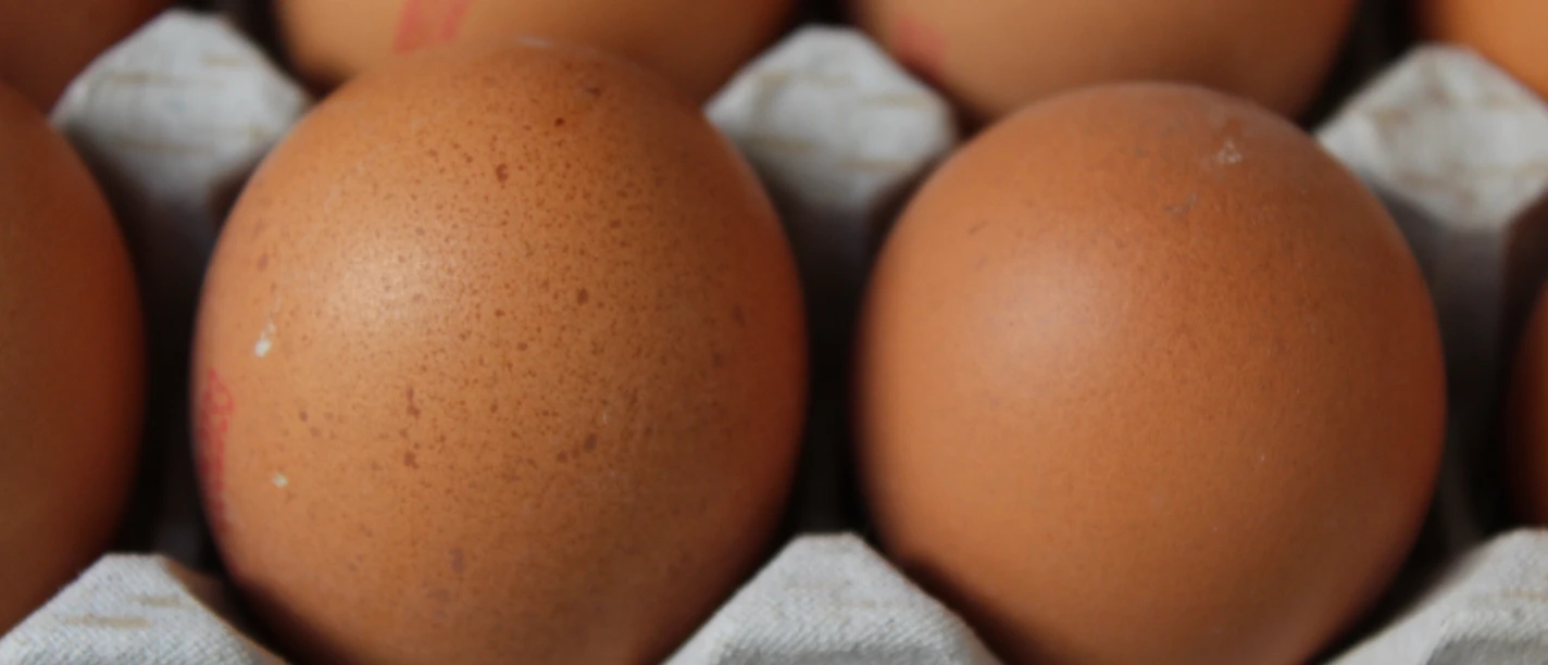 Eier Frische braune Eier liegen nebeneinander in einer gestapelten, grauen Eierpappe aufgereiht.