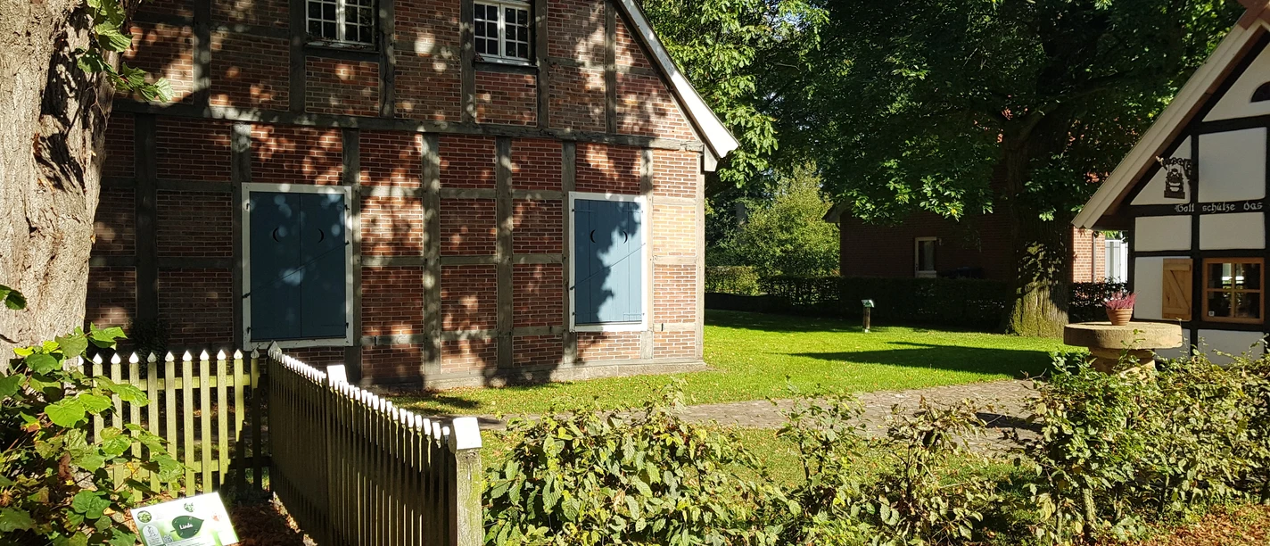 Naturspazierweg_Schapen_©SG-Spelle.jpg Backsteinhaus und Fachwerkgebäude an einem schattigen Weg im Grünen mit Bäumen und Sonnenlicht