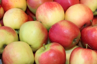 Äpfel Rote und grüne Äpfel eng aneinandergelegt, erstrahlen frisch und appetitlich im natürlichen Licht.