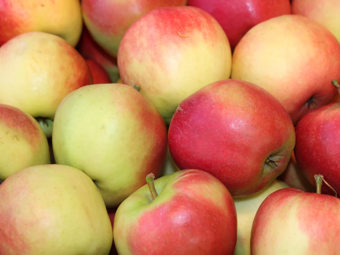 Äpfel Rote und grüne Äpfel eng aneinandergelegt, erstrahlen frisch und appetitlich im natürlichen Licht.
