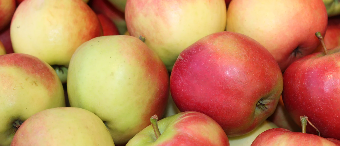 Äpfel Rote und grüne Äpfel eng aneinandergelegt, erstrahlen frisch und appetitlich im natürlichen Licht.