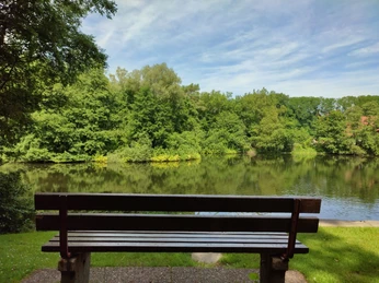 Hasselbachstausee Parkbank aus Holz mit Blick auf den Hasselbachstausee, umgeben von üppig grünem Wald.