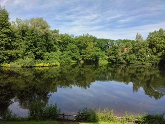 Wald umrahmter See mit klarer Spiegelung, umgeben von dichtem Grün an einem sonnigen Tag.