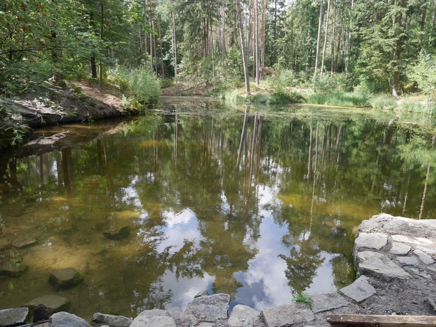 Klarer See inmitten eines dichten Waldes, umgeben von Bäumen, Himmel im Wasser reflektiert.