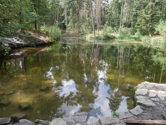 Blauer See Klarer See inmitten eines dichten Waldes, umgeben von Bäumen, Himmel im Wasser reflektiert.