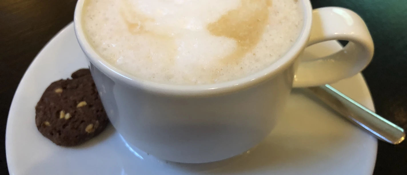A white cup with frothed cappuccino, served on a white saucer next to a chocolate cookie.