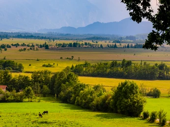 Berg_Moosblick_Kottmüller Allee@Thomas Rychly (1).jpg
