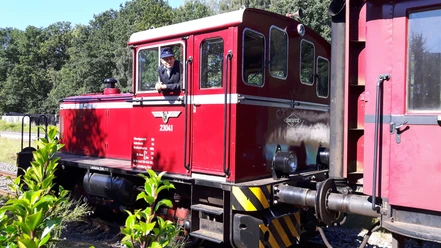 Fahrt mit dem Bispinger Heide-Express