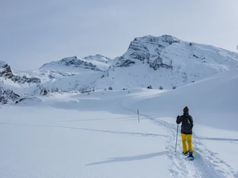 schneeschuh simplonpass.jpg