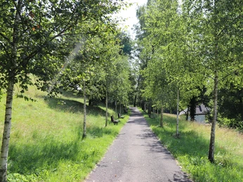 Seidlpark 6 @Carolina Hopen.JPG