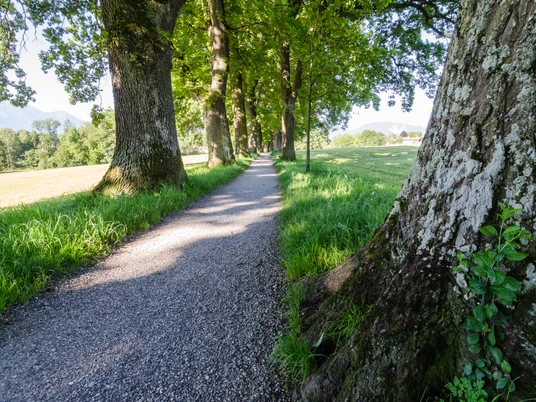 Kottmüllerallee @Simon BAuer.jpg