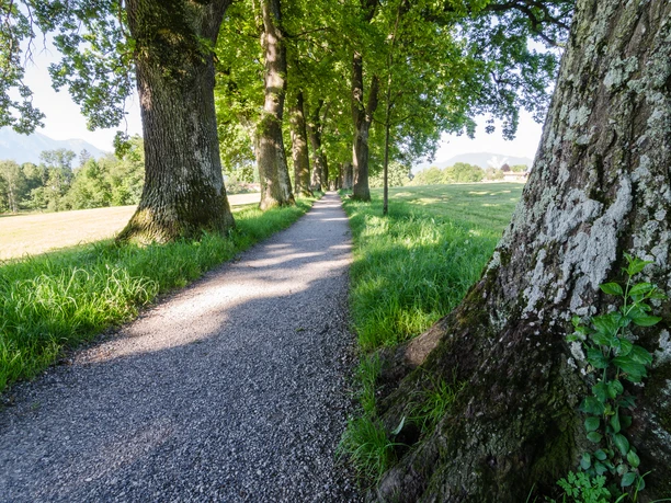 Kottmüllerallee @Simon BAuer.jpg