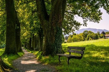 Kottmüller Allee_Sommer@thomas Rychly.jpg