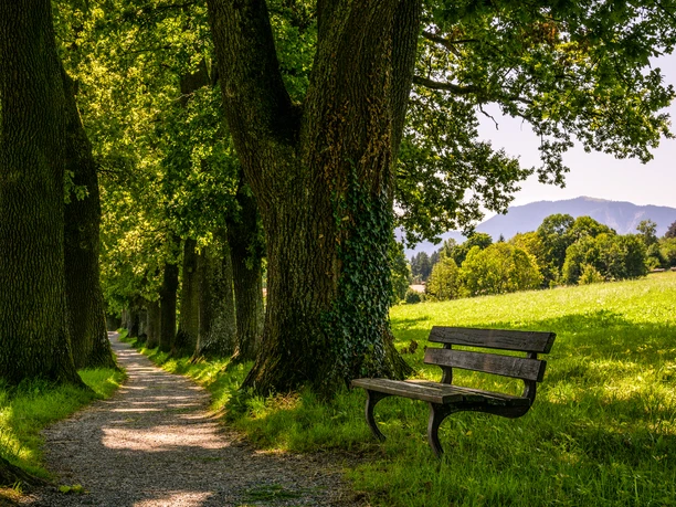 Kottmüller Allee_Sommer@thomas Rychly.jpg