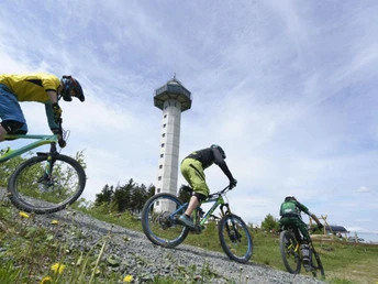 3 Mountainbiker beim rasanten Downhill 3 Mountainbiker beim rasanten Downhill