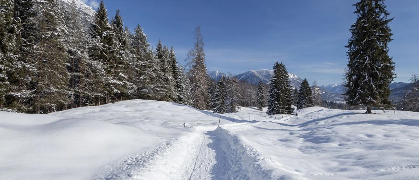 ©Zugspitzdorf Grainau –C Bäck (7).jpg