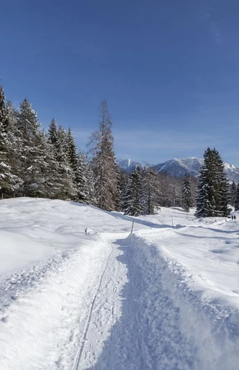 ©Zugspitzdorf Grainau –C Bäck (7).jpg