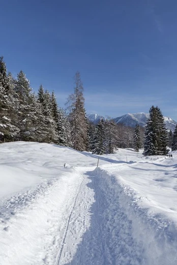 ©Zugspitzdorf Grainau –C Bäck (7).jpg