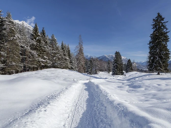 ©Zugspitzdorf Grainau –C Bäck (7).jpg