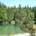 Badersee.jpg