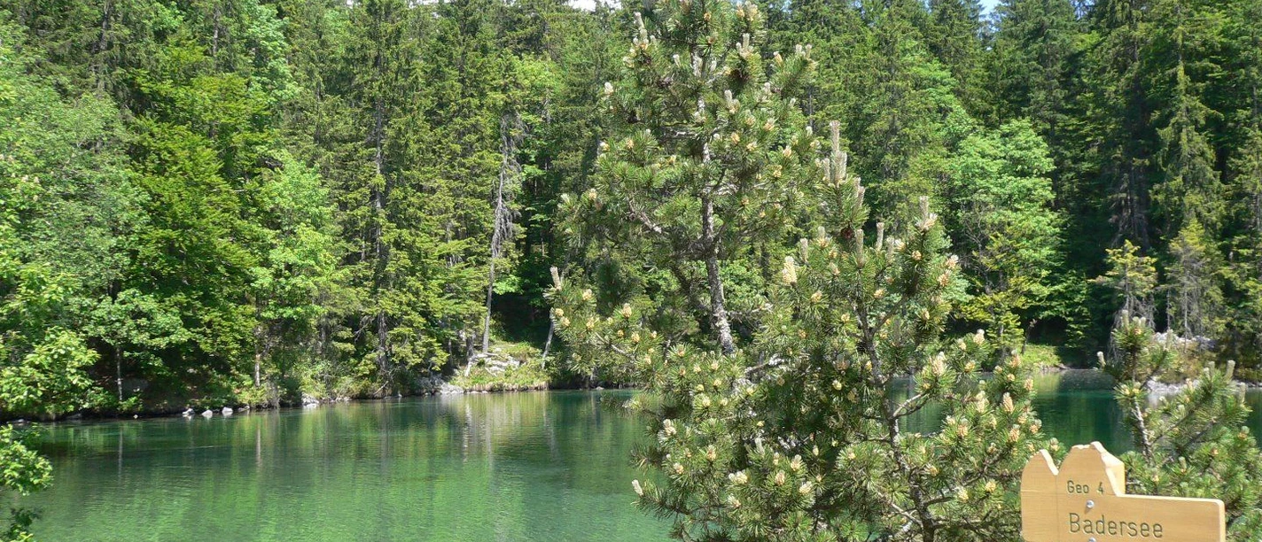 Badersee.jpg