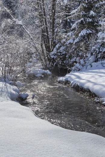 ©Zugspitzdorf Grainau –C Bäck (10).jpg