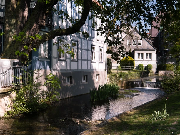 Fachwerkhäuser säumen den Friedrichstaler Kanal in Detmold, sanft gesäumt von Bäumen und Grün.