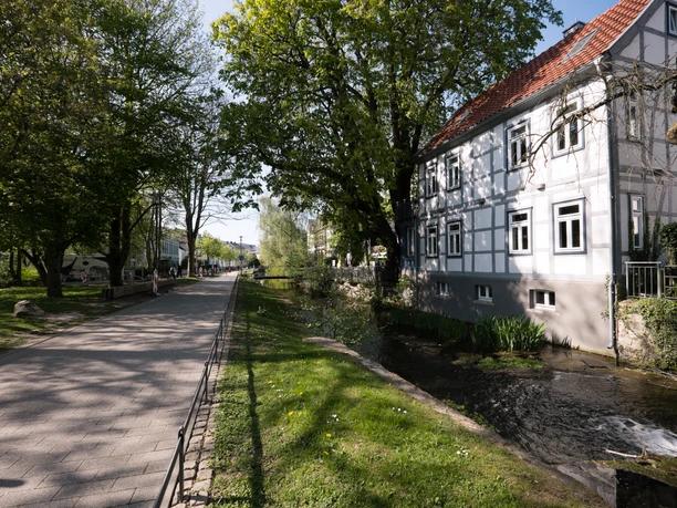 Friedrichstaler Kanal Detmold Weg entlang des Friedrichstaler Kanals in Detmold, gesäumt von Bäumen und einem Fachwerkhaus.