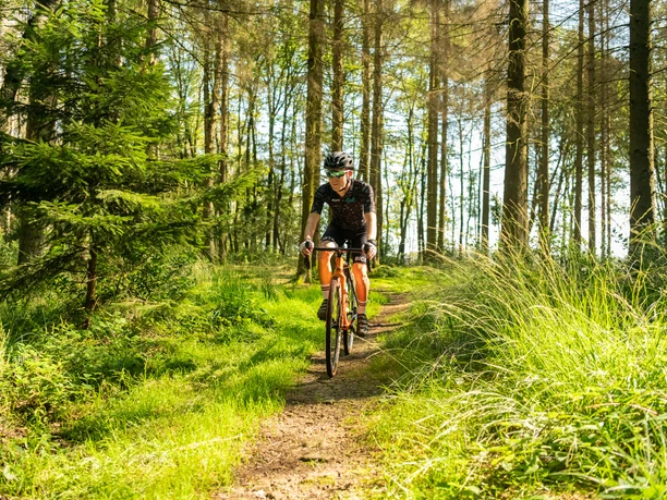 Gravelbike Fahrradfahrer auf schmalem Waldpfad bei Sonnenschein, umgeben von dichtem, grünem Wald.