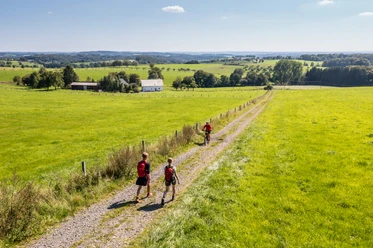 Wandern Heckberg Wanderer genießen einen sonnigen Tag auf einem breiten Feldweg in einer weitläufigen, grünen Landschaft.