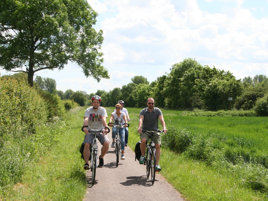 Radfahrer auf einem sonnigen Feldweg umgeben von grüner Natur mit blauen Himmel bei der Weyer Tour.