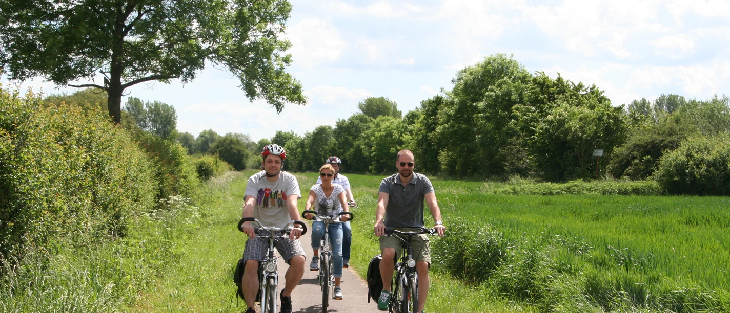 Radfahrer auf einem sonnigen Feldweg umgeben von grüner Natur mit blauen Himmel bei der Weyer Tour.