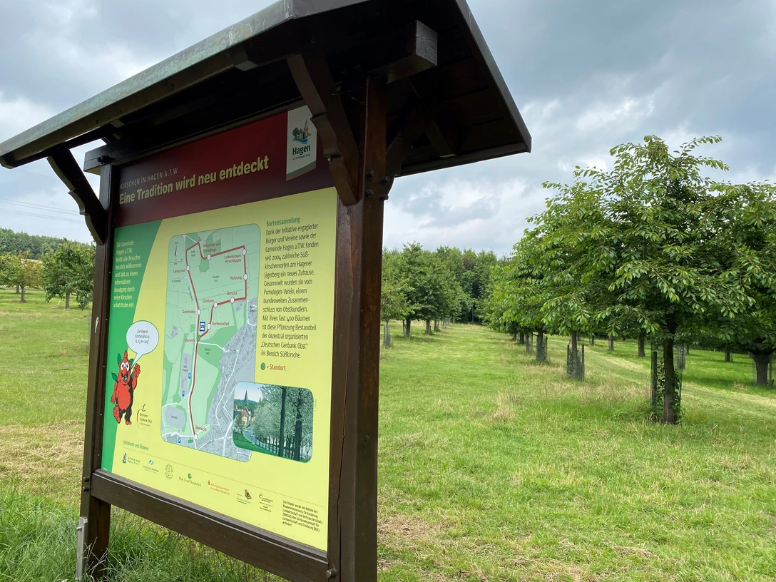 Lehrpfadschild.jpg Informationstafel mit Wanderkarte in einer grünen Wiesenlandschaft unter leicht bewölktem Himmel.Information board with hiking map in a green meadow landscape under a slightly cloudy sky.Informationstavle med vandrekort i et grønt englandskab under en let overskyet himmel.Informatiebord met wandelkaart in een groen weidelandschap onder een licht bewolkte hemel.
