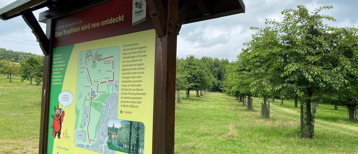 Lehrpfadschild.jpg Information board with hiking map in a green meadow landscape under a slightly cloudy sky.