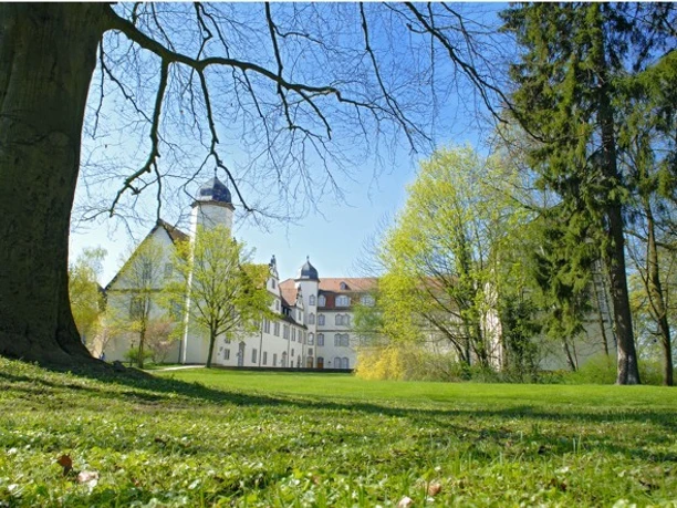 {86a11475-77a8-11d5-0937-76a4c405cc95}