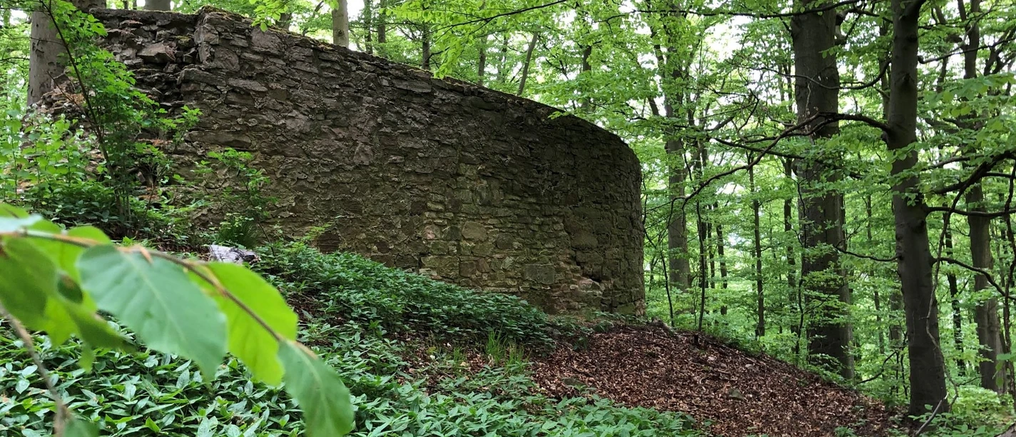 Burgruine Rodenberg Rotenburg an der Fulda