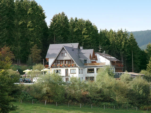 Waldhotel Willingen