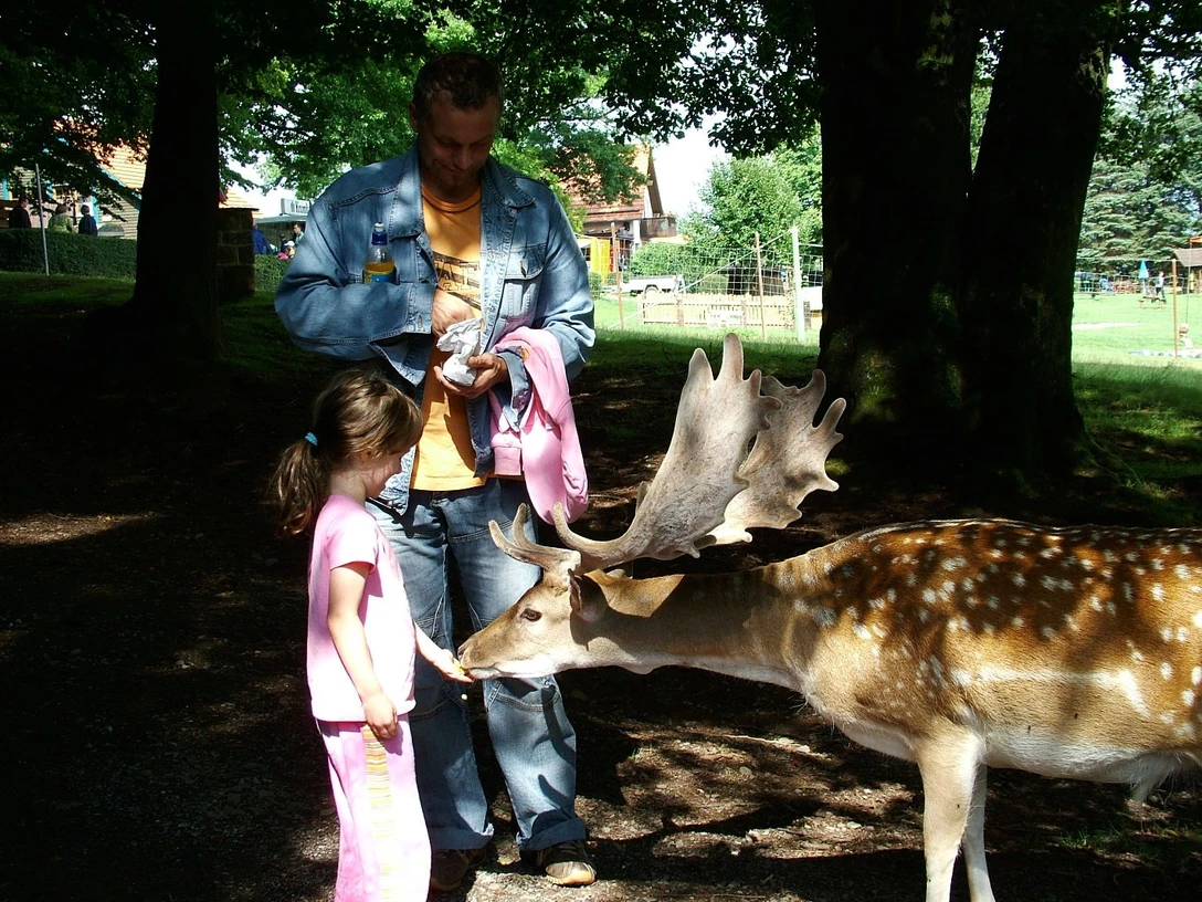Meißner_Bergwildpark